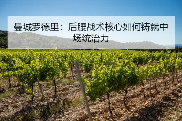 曼城罗德里：后腰战术核心如何铸就中场统治力